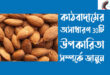 কাঠবাদামের গুণাগুণ: ছোট একটি বাদামে অসাধারণ উপকারিতা