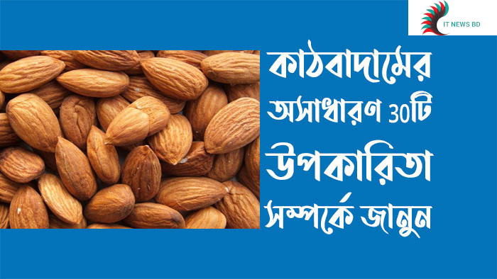 কাঠবাদামের গুণাগুণ
