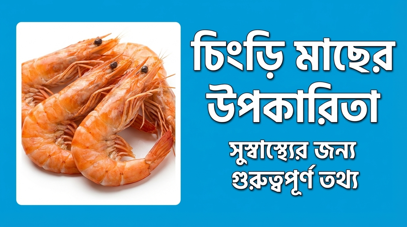 চিংড়ি মাছের উপকারিতা